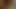 Phim sex viet nam